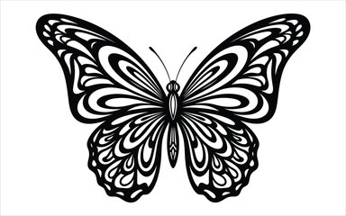 Vectorized Butterfly for print, decoration, Wallpaper, Commercial use, Sketch.