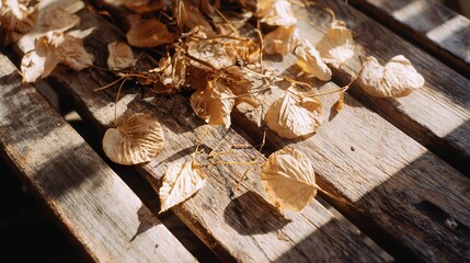 Fallen leaves on wooden table nature scene photography natural light close-up organic textures
