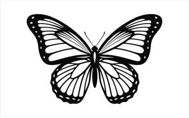 Vectorized Butterfly for print, decoration, Wallpaper, Commercial use, Sketch.
