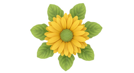 Isolated blossom of yellow sunflower with fresh green leaves and round center disk