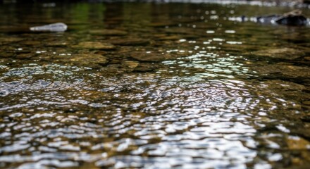 Fototapeta premium Shallow stream with rocks, water ripples, and natural light reflection