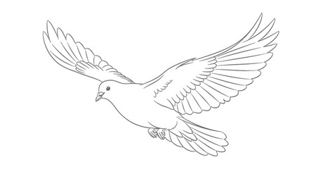 Obraz premium A detailed line drawing of a dove in flight, wings outstretched, soaring freely.