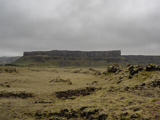 mossy lava fields in Island