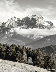 Obraz premium Snowy mountain range with forest