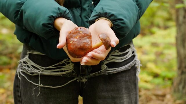 A person explores a lush green forest, carefully collecting edible mushrooms. They hold different varieties, showcasing their colors and textures, while sharing insights on foraging.