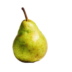 A single, ripe pear, yellowish-green with russet speckles, sits against a black background; its stem is dark brown