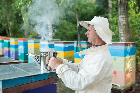 Beekeeper lighting the smoker for hive work in the apiary. A man in a protective suit and hat holds a smoker from which smoke is coming, against the background of colorful beehives in the forest