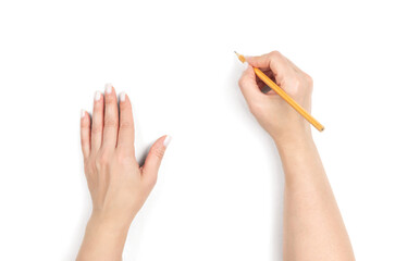 Female hands holding pencil, writing gesture on transparent background. Concept of drawing,...
