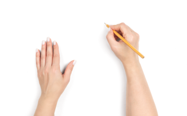 Female hands holding pencil, writing gesture on transparent background. Concept of drawing, education, creativity, and business planning. Isolated cutout for design use.