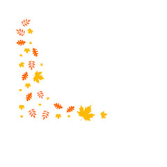 autumn background leaves pattern