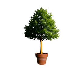 Obraz premium Whimsical tree in terracotta pot creatively sculpted with a pencil, symbolizing growth, learning, and nature's artistry