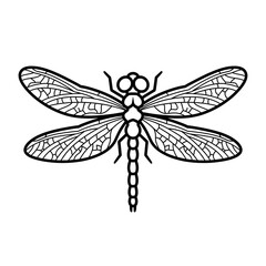 Detailed Dragonfly Line Art &ndash; Black Outline Insect Illustration with Intricate Wing Pattern on White Background