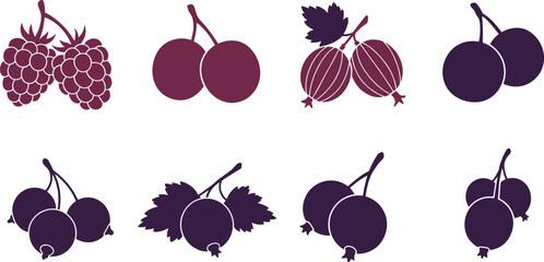 Berry fruit collection, raspberry cherry gooseberry blackcurrant, fresh organic berries, healthy food design, botanical fruit illustration, natural berry artwork © Mst