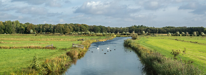 Autumn on Royal estate the Horsten near Wassenaar in the West of the Netherlands