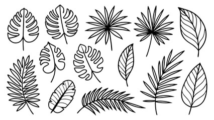 Tropical leaves line art bundle, Outline botanical vector icons including monstera, palm, banana, fern, palm fan silhouettes