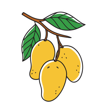 Colorful vector depiction of a mango fruit, showcasing its yellow orange skin and green leaf, doodle line art vector illustration