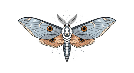 Obraz premium Detailed illustration of a beautiful moth with patterned wings.