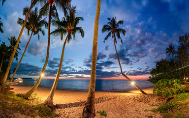 Tropical beach with coconut palm tree and crystal clear ocean. Summer vacation in tropical paradise...