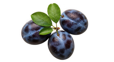 Three ripe plums with green leaves on a stem isolated on transparent background