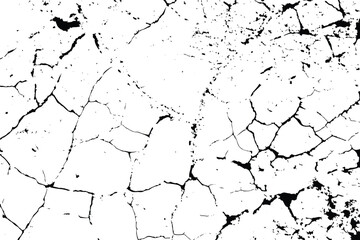 Earth cracks texture on isolated vector illustration. grunge wall paint effect pattern, abstract black and white marble surface, broken concrete background perfect for urban design