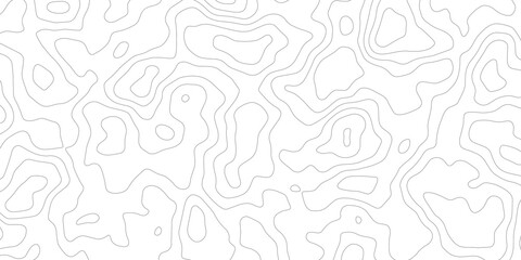 Abstract topographic map lines background. Vector seamless background, subtle pattern. topographic map background concept.