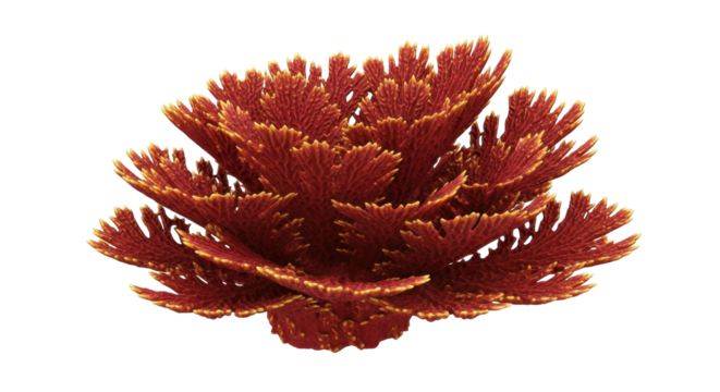 Isolated Acropora coral for an aquarium, bright colors and detailed patterns underwater