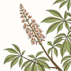 Vector art of botanical illustration, showcasing the intricate details of a blooming chestnut tree branch with its lush green leaves and delicate flowers, capturing the essence of nature