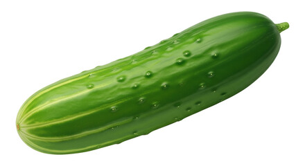 Isolated fresh green cucumber vegetable, healthy natural vegetarian ingredient food