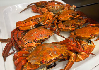 Cooked edible crabs on a white tray on display in a seafood restaurant.