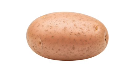 Isolated russet potato, a versatile staple, used in many dishes and cuisines, raw vegetable