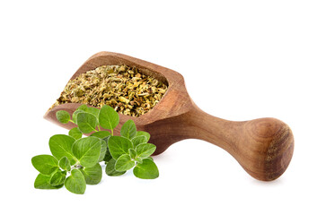Woodn spoon with Oregano or marjoram leaves isolated on white background.