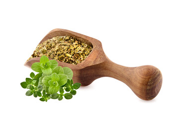 Wooden spoon with spices. Oregano leaves with  thyme isolated on white background. Mixture of herbs. Herbs fresh. Spices isolated.