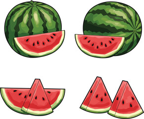 Fresh watermelon fruit illustration, whole watermelons, sliced watermelon wedges, juicy red flesh, tropical summer fruit, organic healthy food, botanical drawing, seasonal harvest