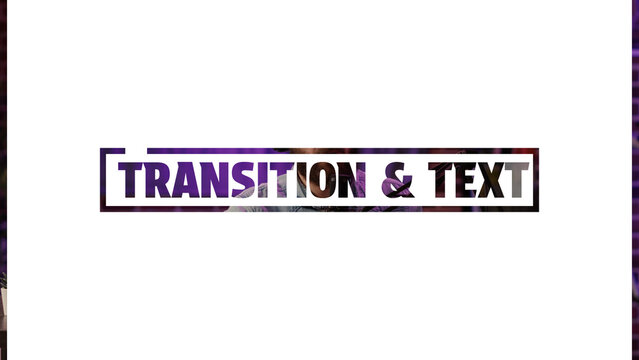 Transition & Text