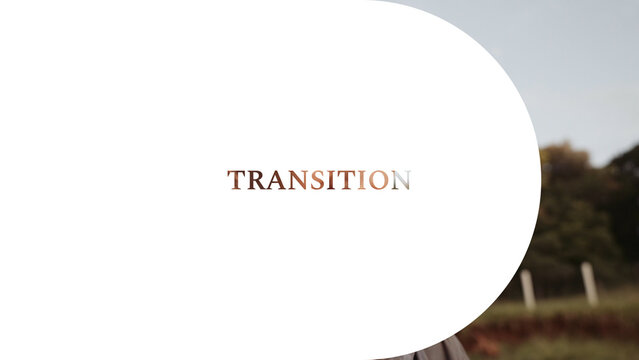 Cinematic Text Transition