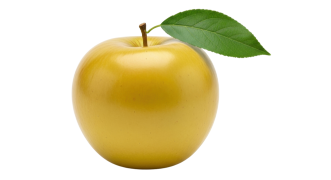 Isolated Golden Delicious apple, fresh and yellow, with a green leaf and short stem, ripe
