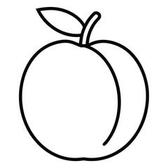 apricot vector line art icon
