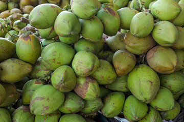 Green coconut in Market Closeup photos