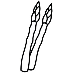 asparagus vector line art icon