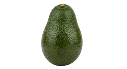 Isolated whole raw dark green avocado, a single fruit for ingredient recipe design ideas