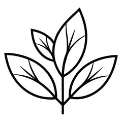 bay leaf bunch (1) vector line art icon