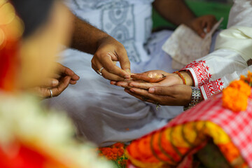 wedding couple hand Close up Photo