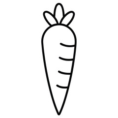 carrot half  vector line art icon