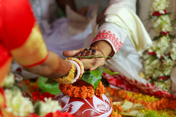 wedding couple hand Close up Photo