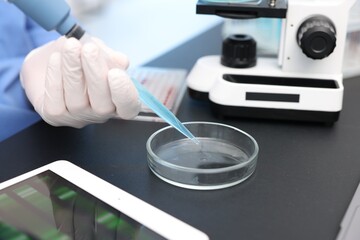 Research in genetics. Scientist with micropipette and Petri dish working at table in laboratory, closeup