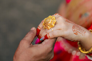 wedding couple hand Close up Photo