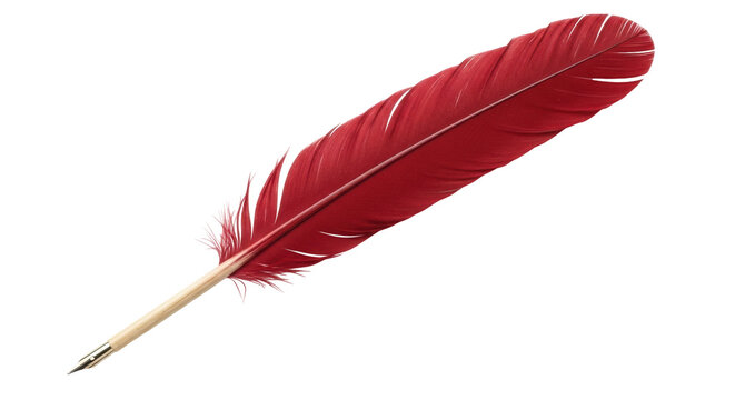Isolated elegant red quill pen for writing or signing documents on surface for creative use