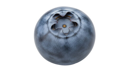 Isolated Blueberry on Clean Surface, Fresh Fruit, Close-up, Summer, Healthy Food, Vitamin-Rich