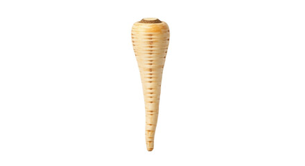 Isolated single parsnip root vegetable, uncooked, peeled for cooking or eating raw, healthy