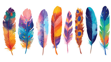 Vibrant Collection of Bird Feathers - Nature's Colorful Design Elements